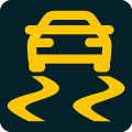 Traction Control Warning Light